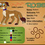 Robert - reference sheet