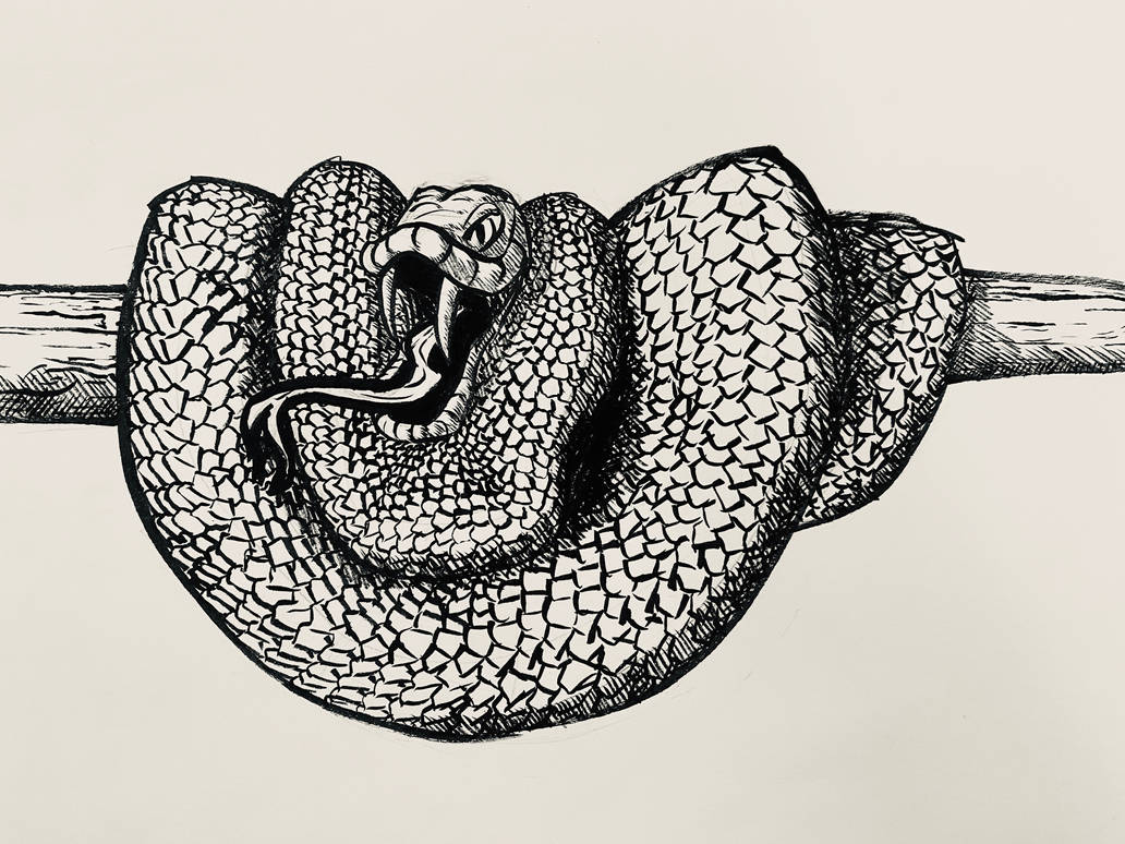 Inktober52 - Snake by auspiciousoctopi on DeviantArt