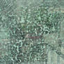 Craked Glass