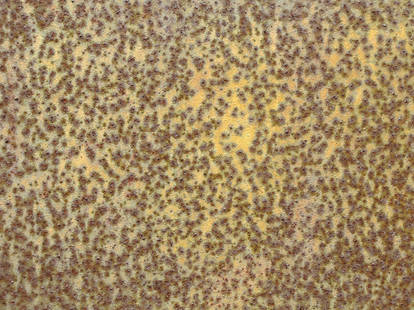 Mad Texture Patterns mad-texture - Professional, Digital Artist | DeviantArt