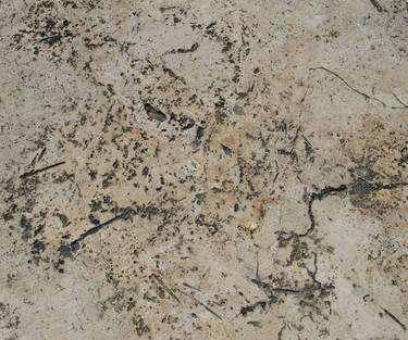 Mad Texture Patterns mad-texture - Professional, Digital Artist | DeviantArt