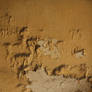Paint Peel