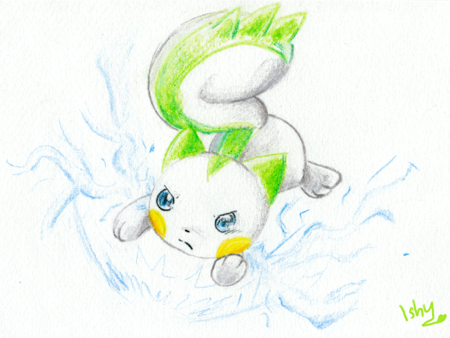 .Lio the Pachirisu.