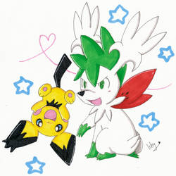 .Skymin and Gizamimi Pichu. by Ishisu