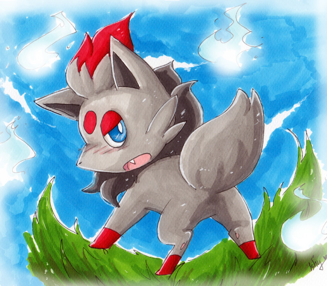 .Zorua at the field.