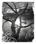 Life by iOon