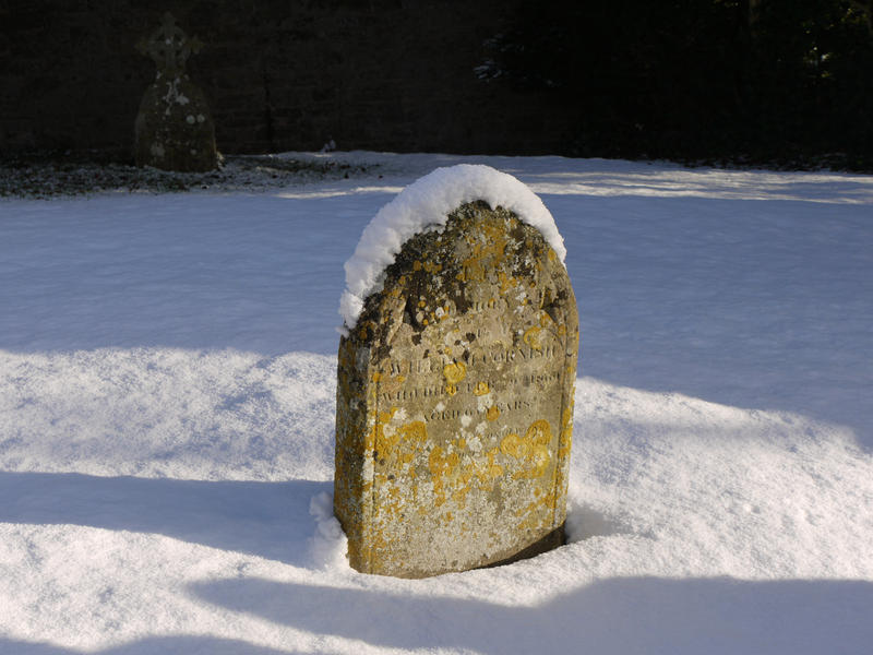 Snow Graveyard 1 STOCK