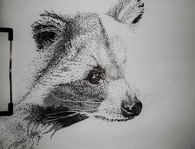 Raccoon Pointillism W.I.P