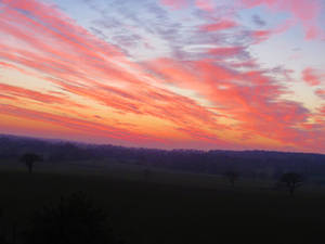 Twilight on the Normand Bocage 2