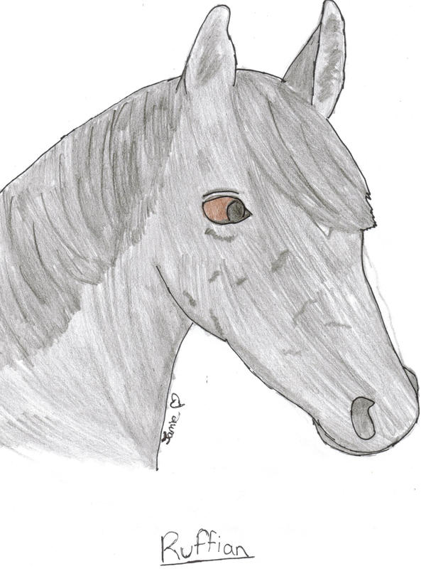 Deviantart Ruffian RacingLegends:Ruffian by jamiexoxo on DeviantArt