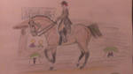 Cantabrian Open Dressage #2 by OccasionalSuicide