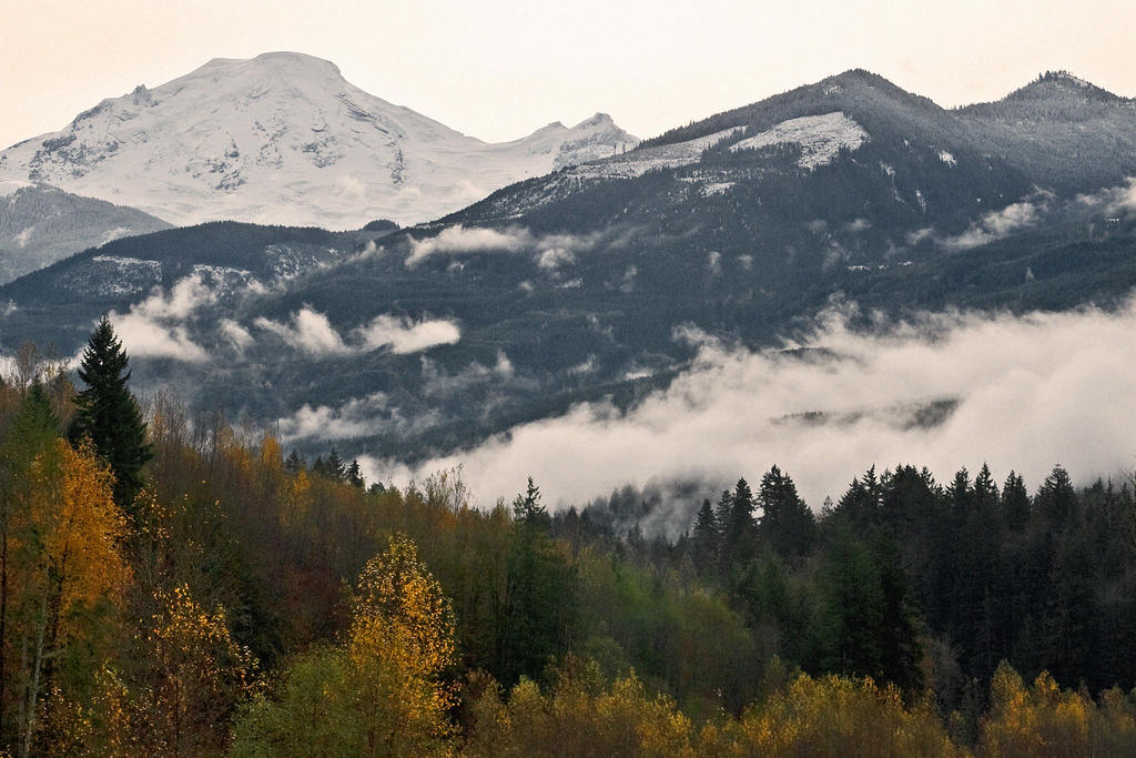 Early Snow