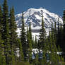 Mount Rainier