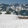 Spray Park Meadow