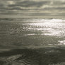 Peaceful Beach