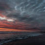 Late Evening