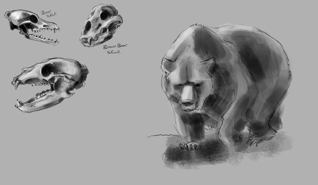 Bear Hand Reference Bear Reference by AidanNeeson on DeviantArt