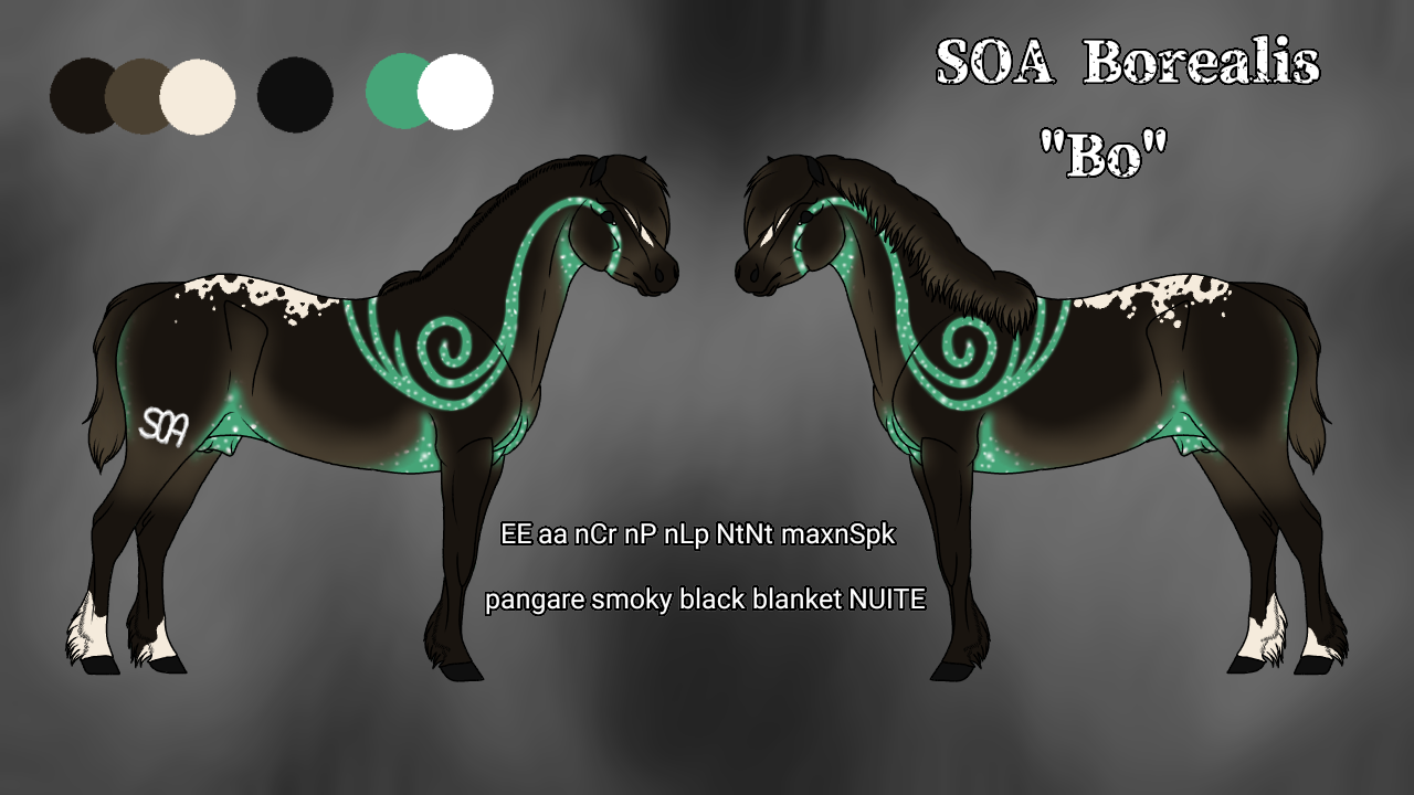 N5091 - SOA Borealis AKA Bo