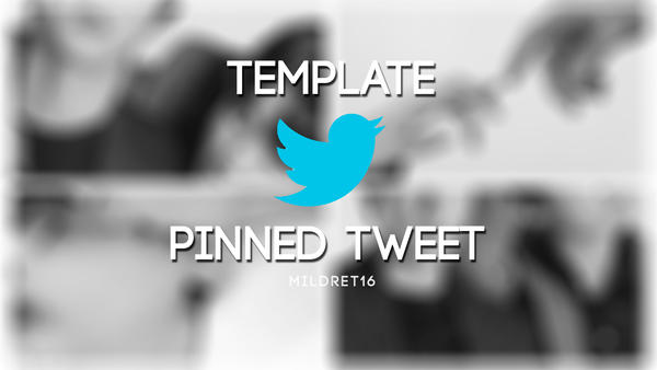 Pinned Tweet Template by mildrett16 on DeviantArt