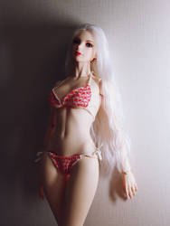 Light and Shadow 4