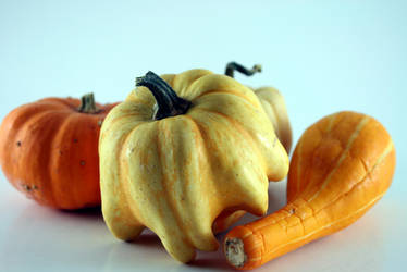 Bunch of gourds