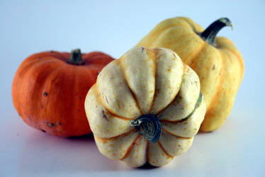 Trio of gourds