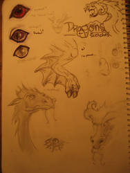 Dragons