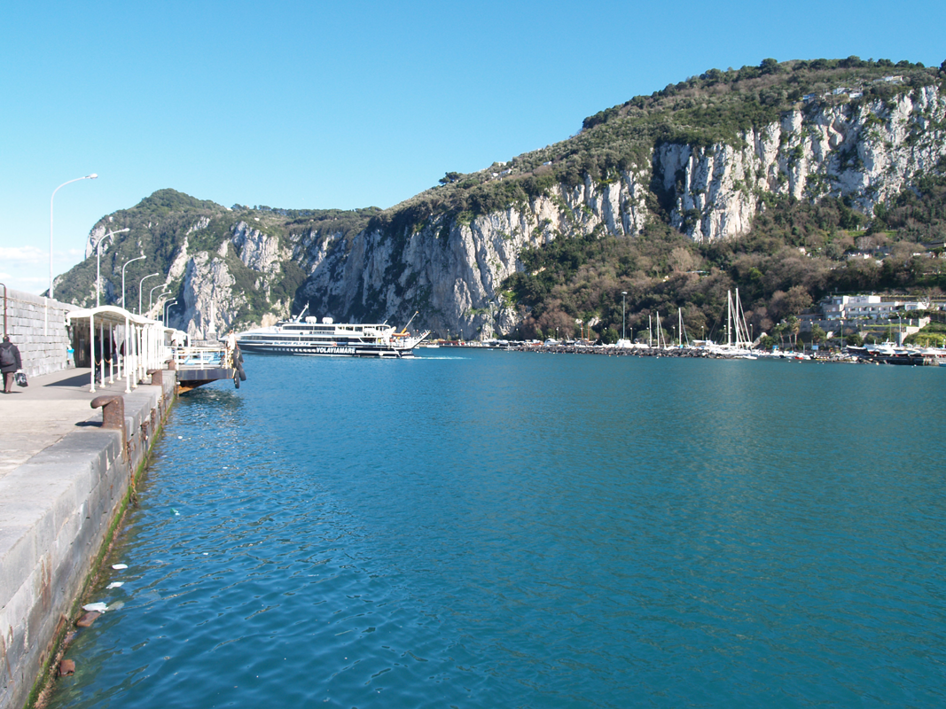 Capri Harbour - I