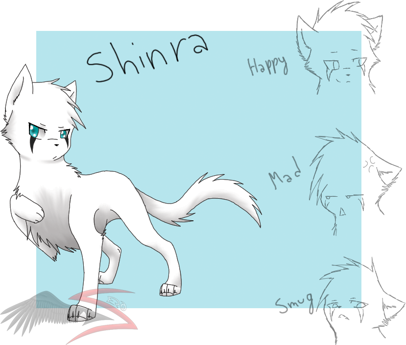 CW - Shinra