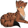 Hawkfrost