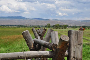 Fence Lines 7