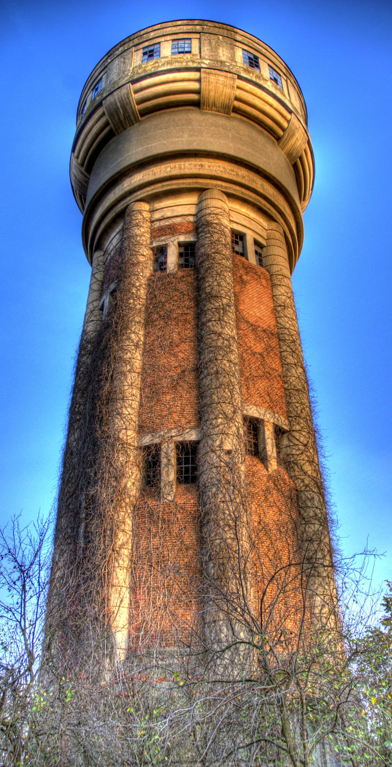 the hairy tower