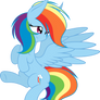 Dashie