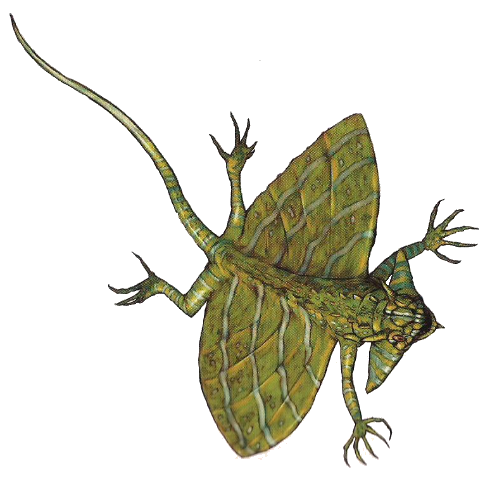 Discus transparent by kingcapricorn688 on DeviantArt