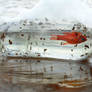 Living in a Bottle