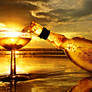 Sparkling Wine