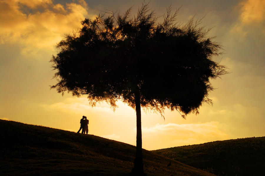 Under the Tree