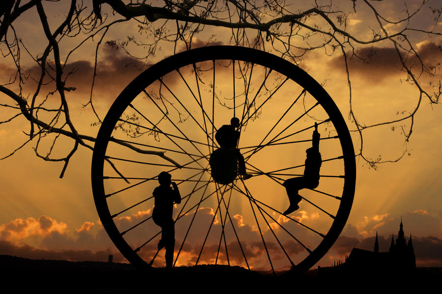 The Wheel of Life