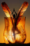 Pheonix by ahermin