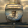A Half Empty Glass
