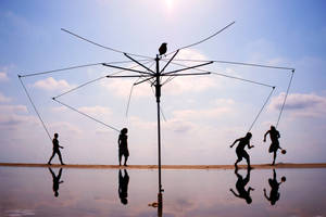 Unprofitable Freedom