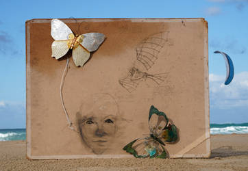 Butterflies Are Free