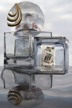 King of the World or Another Fool