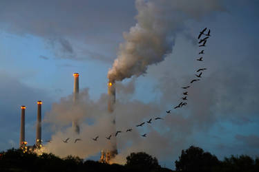 High Clouds Factory