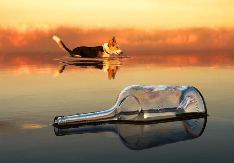 если бы море было пивом. еслиб море было. еслиб море было. если б море было. ельцин трезвый.