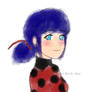 Ladybug Reveals to Noir