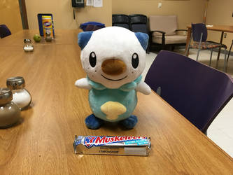 Oshawott at the Table