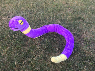 Ekans at the Park