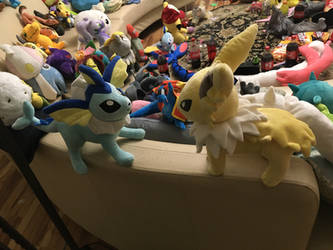 Jolteon and Vaporeon