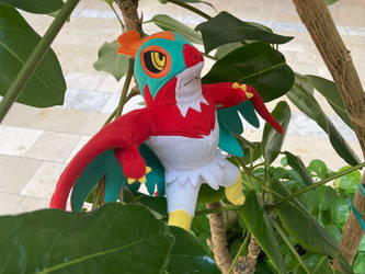 Hawlucha at the Mall